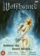 姨母的绣感中字4