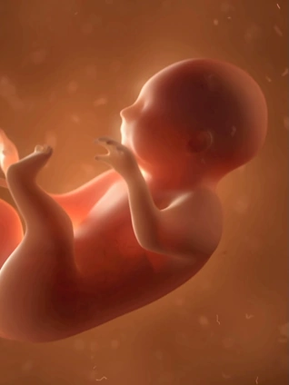 六度影视在线现观看