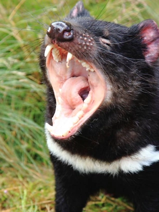 在线观看成年轻人电影