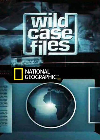 大自然神秘档案1